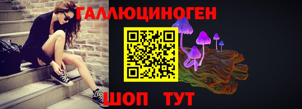 Мурино  Псилоцибиновые грибы MAGIC MUSHROOMS  где продают   Вход с VPN 